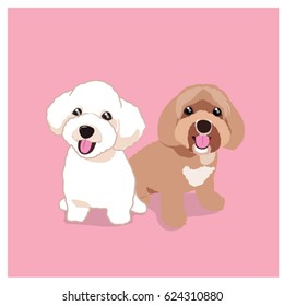 Shih-Tzu dog vector