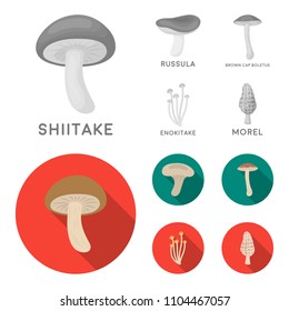 Shiitake, brown cap boletus, enokitake, milk. set collection icons in monochrome,flat style vector symbol stock illustration web.