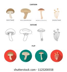 Shiitake, brown cap boletus, enokitake, milk. set collection icons in cartoon, outline, flat style vector symbol stock illustration web.