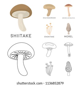 Shiitake, brown cap boletus, enokitake, milk. set collection icons in cartoon,outline style vector symbol stock illustration web.