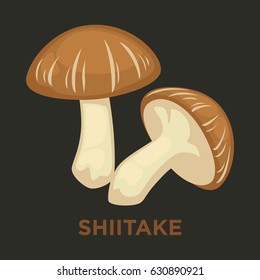 Shiitake Edible Mushroom Isolated Flat Vector Icon