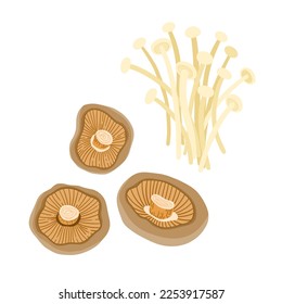 Shiitake and enoki (Flammulina velutipes) mushrooms. Traditional Asian cuisine. Vector clipart set.
