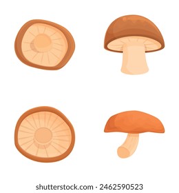 Shiitake icons set cartoon vector. Asian shiitake mushroom or fungi. Edible mushroom