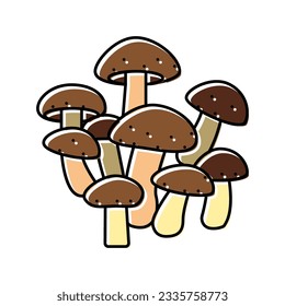 shiitake mushroom color icon vector. shiitake mushroom sign. isolated symbol illustration