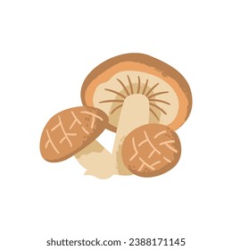 Shiitake mushroom. Edible and delicious fungus. Vector cartoon illustration with texture isolated on the white background.