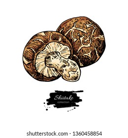 Shiitake mushroom hand drawn vector illustration set. Sketch food drawing isolated on white background. Organic vegetarian product. Great  for menu, label, product packaging, recipe