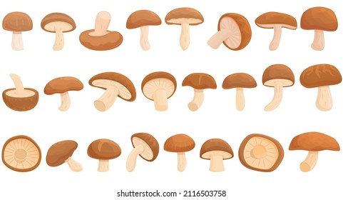 Shiitake mushroom icons set cartoon vector. Fungus plant. Autumn food