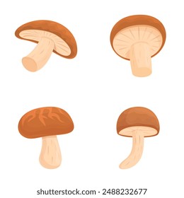 Shiitake mushroom icons set cartoon vector. Asian shiitake mushroom or fungi. Autumn food