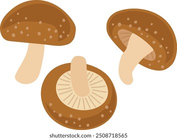 Shiitake mushroom illustration set 2.
A set of shiitake mushrooms.