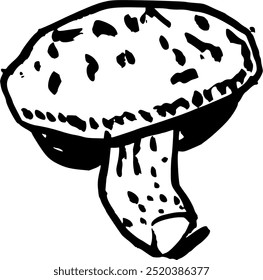 Shiitake mushroom sketch in doodle style. Hand drawn minimal design. Perfect for wallpaper, template, banner, wall decor, print, postcard, cover. Vector illustration