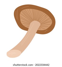 Shiitake mushroom vector hand drawn cartoon illustration isolated