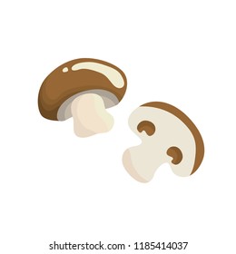 Shiitake mushroom white background vector