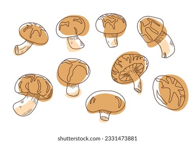 Shiitake mushrooms collection with dots. Asian organic food. components. Natural Chinese ingredient for vegan and vegetarian diet. Edible raw vegetable for Japanese cousine. Vector illustration plant