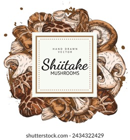 Shiitake mushrooms harvest heap hand drawn vector square label design. Natural organic vegetarian food. Asian raw brown fungus or fungi ingredient. Pile of mushrooms on watercolor stain