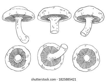 椎茸 イラスト Images Stock Photos Vectors Shutterstock