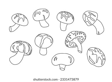 Shiitake mushrooms outline collection. Asian organic food. components. Natural Chinese ingredient for vegan and vegetarian diet. Edible raw vegetable for Japanese cousine. Vector illustration plant