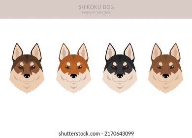 Shikoku dog coat colors, different poses clipart.  Vector illustration