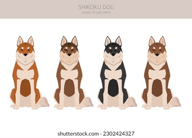 Shikoku dog coat colors, different poses clipart.  Vector illustration