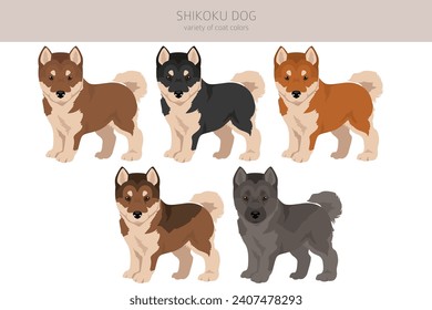 Shikoku dog puppies coat colors, different poses clipart.  Vector illustration