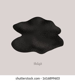 Shilajit or mumijo organic mineral product. Black mineral on a gray background and logo.