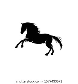 shilhouette horse vector ilustration black and white colour design