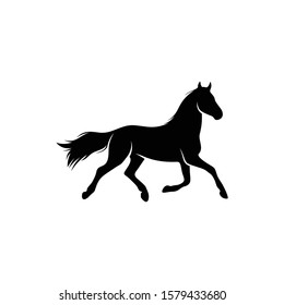 shilhouette horse vector ilustration black and white colour design