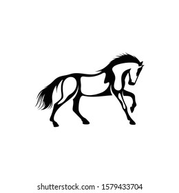 shilhouette horse vector ilustration black and white colour design