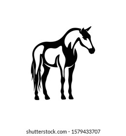 shilhouette horse vector ilustration black and white colour design