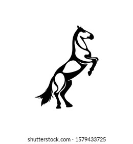 shilhouette horse vector ilustration black and white colour design
