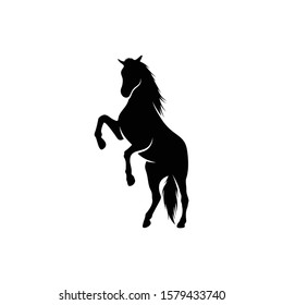 shilhouette horse vector ilustration black and white colour design