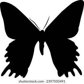 shillouette of butterfly vector on white background