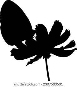 shillouette of butterfly vector on white background