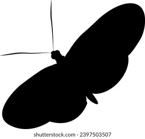 shillouette of butterfly vector on white background
