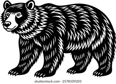 Shilute  Bear isolated on the white background 