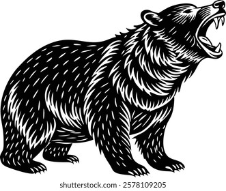 Shilute  Bear isolated on the white background 