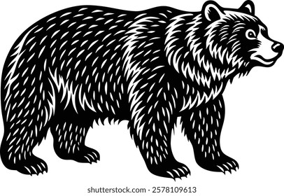Shilute  Bear isolated on the white background