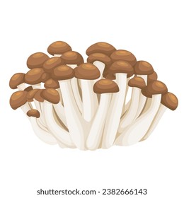 Shimeji mushrooms on a white background.Vector illustration