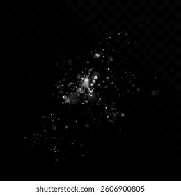
Shimmering particles of white dust. Sparkling light. Bright dust.