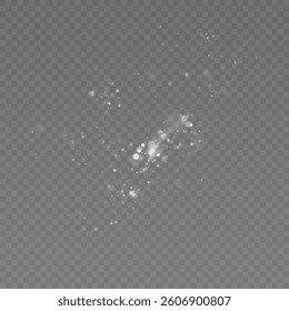
Shimmering particles of white dust. Sparkling light. Bright dust.