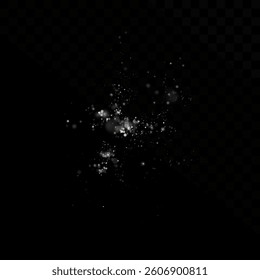 
Shimmering particles of white dust. Sparkling light. Bright dust.