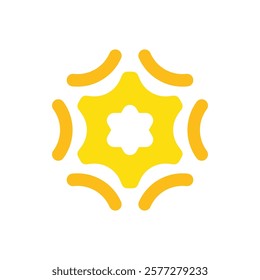 Shine Logo Vector Icon Template Illustration