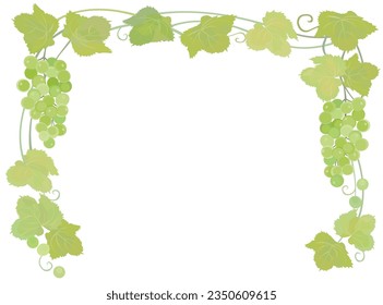 Shine muscat frame. Grape and leaf.