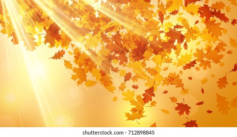 Der helle Herbsthintergrund mit goldenem Ahorn und herabfallenden Eichen. Vektorgrafik.