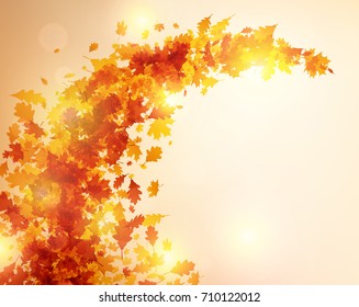 Brillante fondo otoñal con torbellino de hojas de arce y roble. Ilustración vectorial.