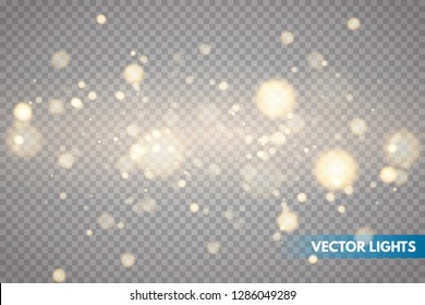 Shining bokeh isolated on transparent background. Christmas concept Vector illustration EPS10