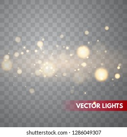 Shining bokeh isolated on transparent background. Christmas concept Vector illustration EPS10