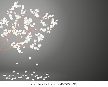 Shining the branches of a flowering cherry tree with falling flowers against a dark grey background