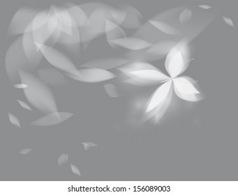 Shining butterfly / Black-and-white floral background