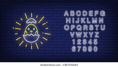 Shining chick hatching from egg neon sign. Poultry design. Night bright neon sign, colorful billboard, light banner. Vector illustration in neon style.