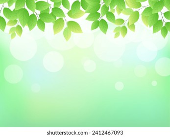 Shining fresh green background frame
